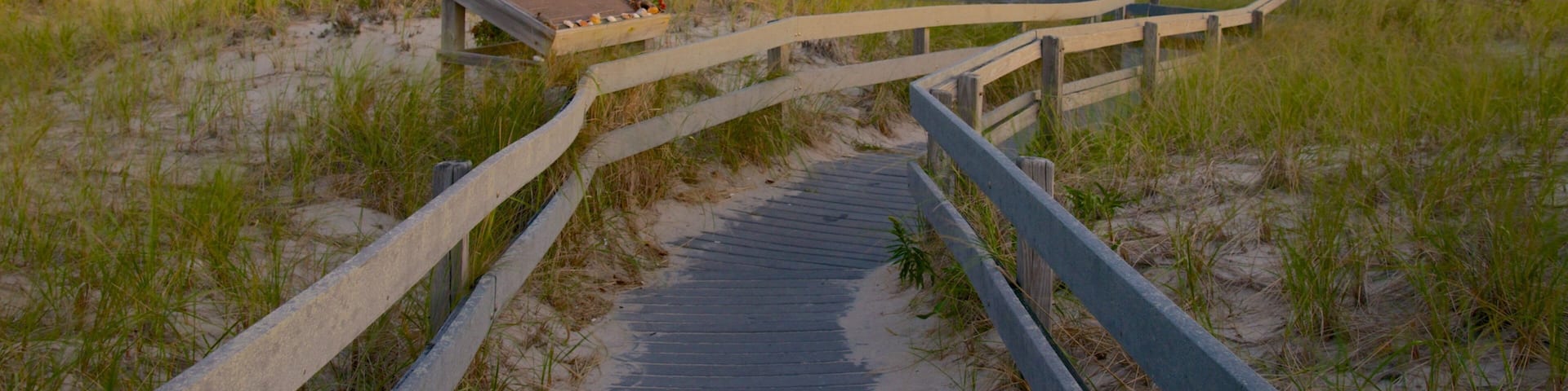 Sandy Neck Beach featuring general coastal views