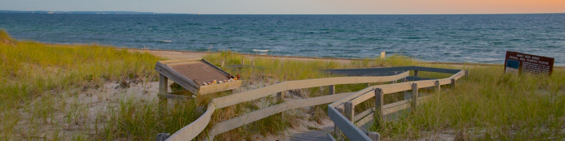Sandy Neck Beach featuring general coastal views