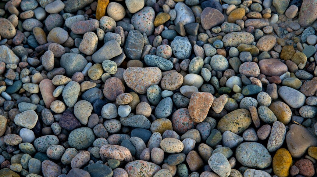 Sandy Neck Beach showing a pebble beach