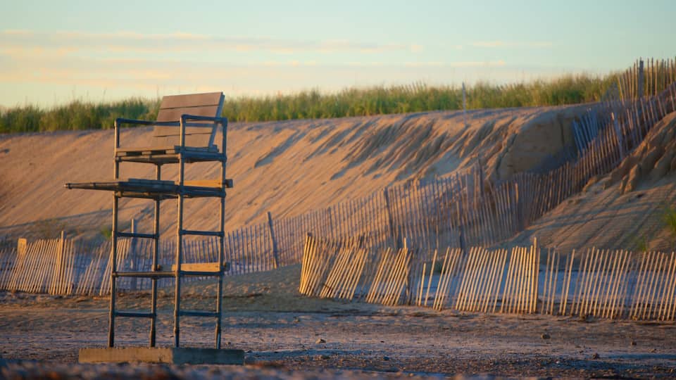 A metal chair and a wooden bench on a sandy beach with a wooden fence in the background.