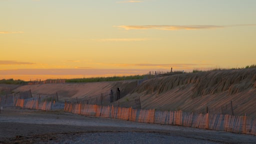 桑迪尼克海灘 呈现出 綜覽海岸風景 和 夕陽
