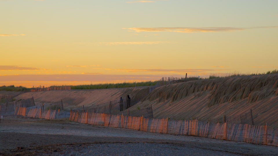 A coastal landscape with sand dunes and a wooden fence.