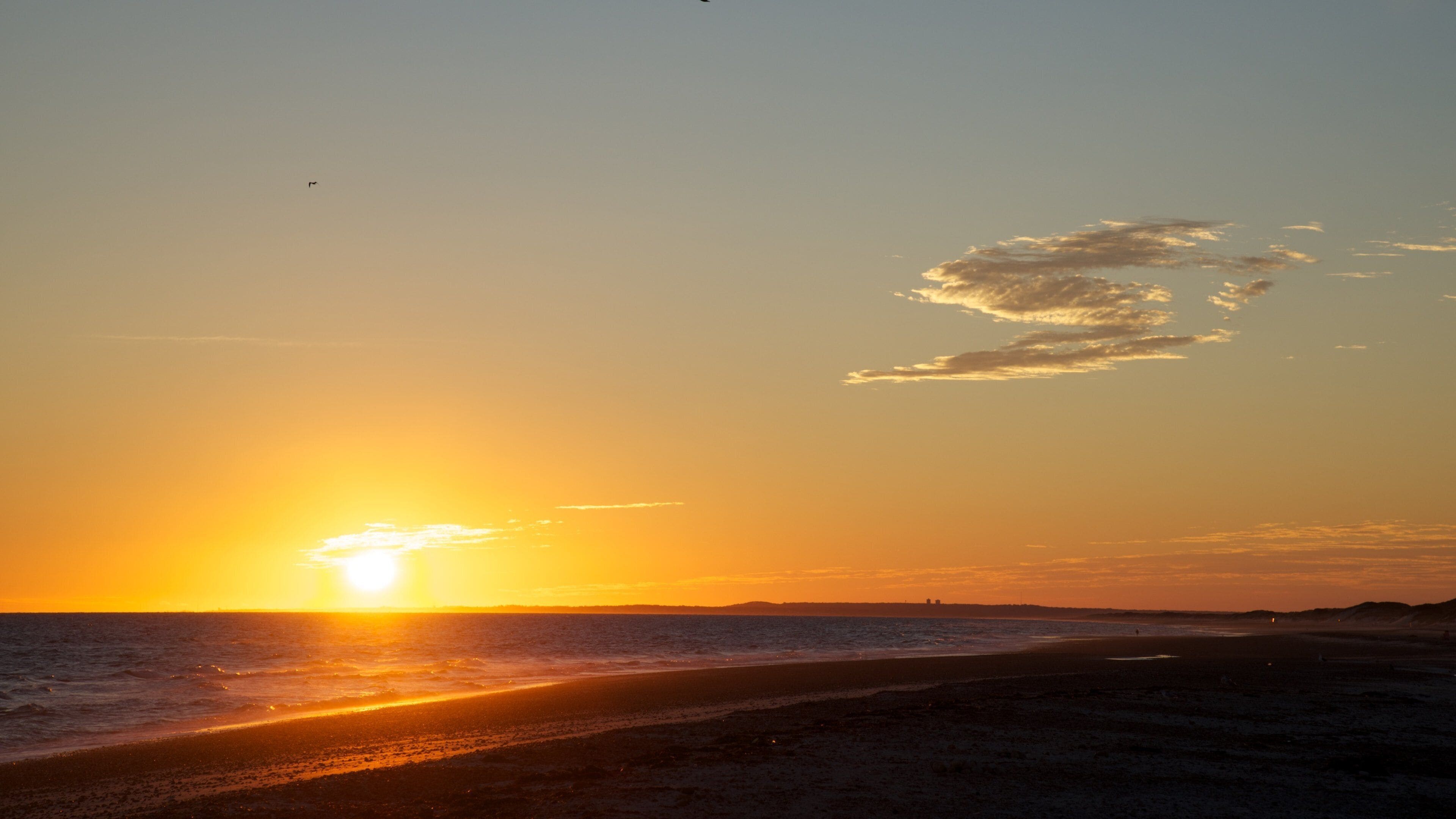 Sandy Neck Beach inclusief een zonsondergang en algemene kustgezichten