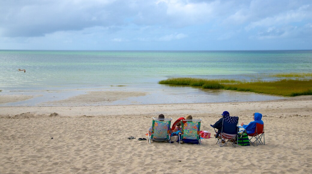 Skaket Beach featuring a sandy beach as well as a family