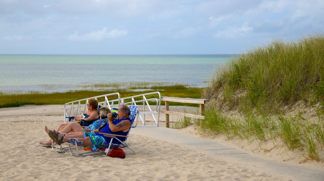 Spiaggia di Skaket caratteristiche di spiaggia cosi come famiglia