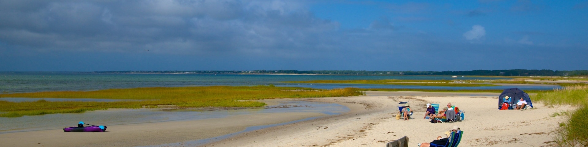 Skaket Beach featuring a sandy beach