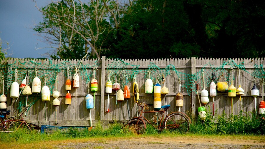 Skaket Beach which includes fishing