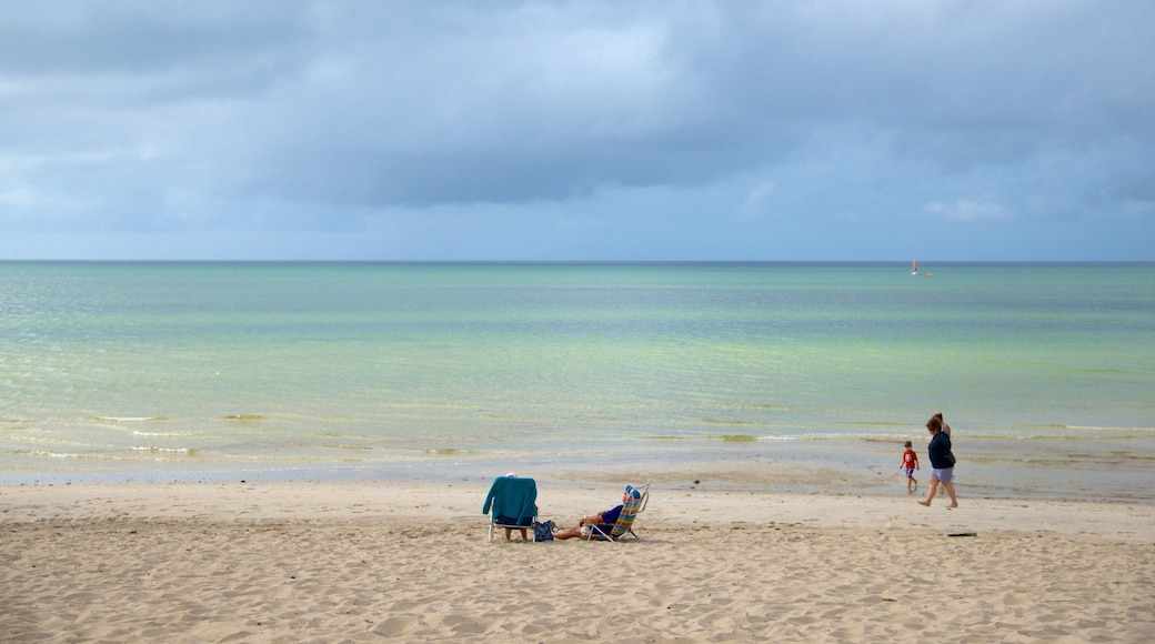 Spiaggia di Skaket mostrando spiaggia sabbiosa cosi come famiglia