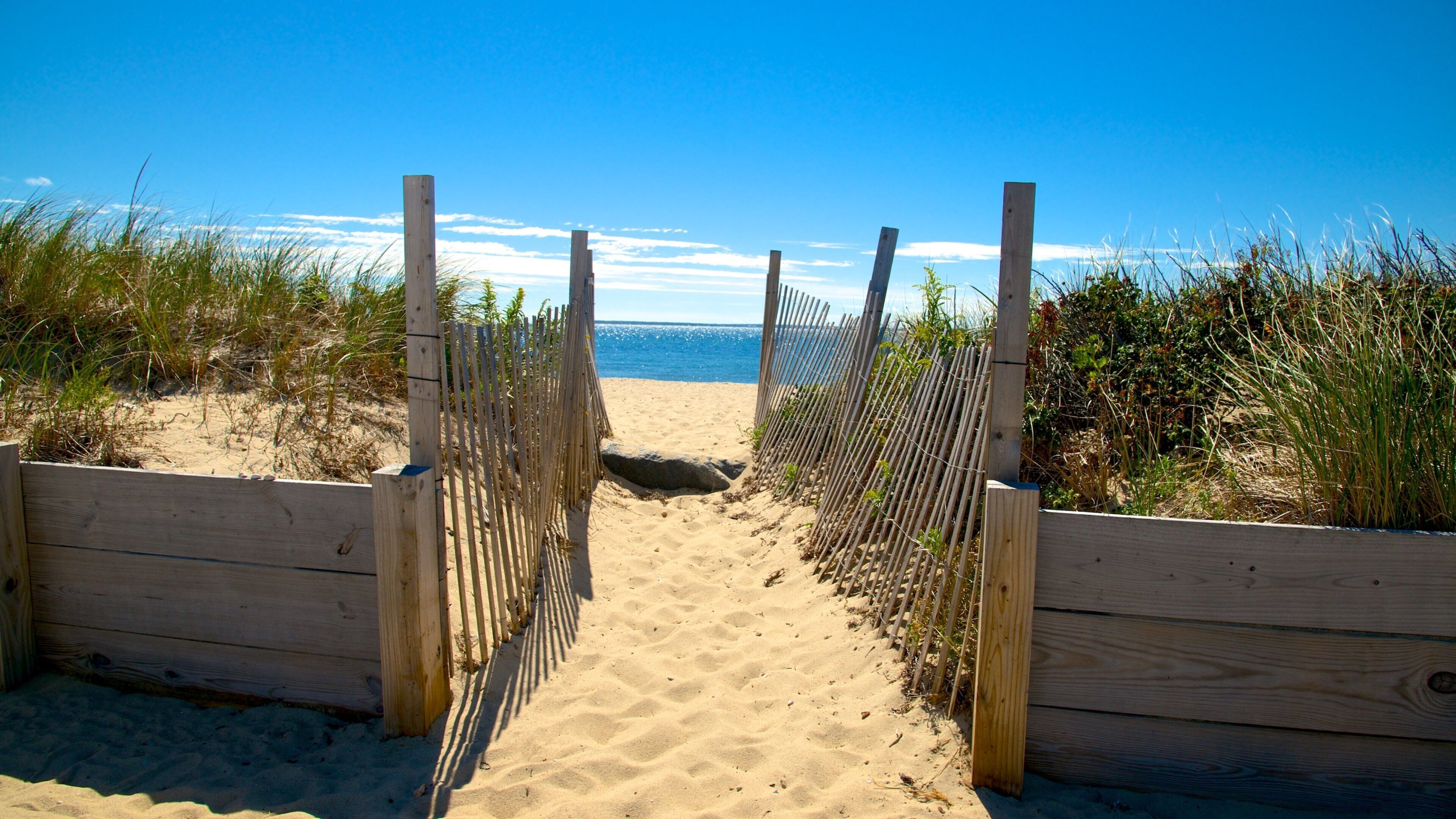 Surf Drive Beach which includes a sandy beach