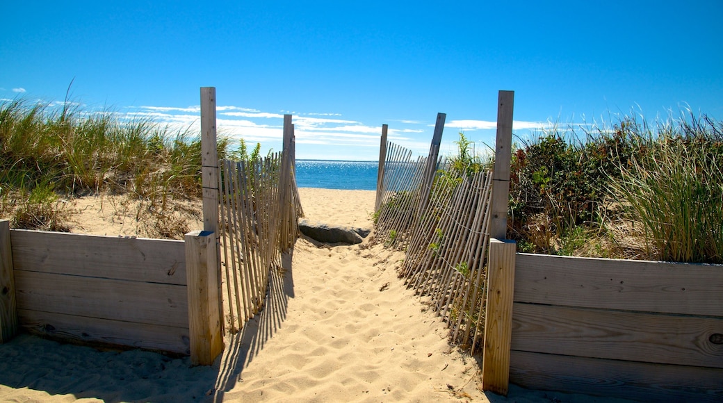 衝浪潛水灘 设有 沙灘