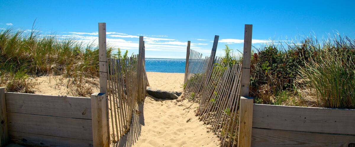 Surf Drive Beach das einen Strand