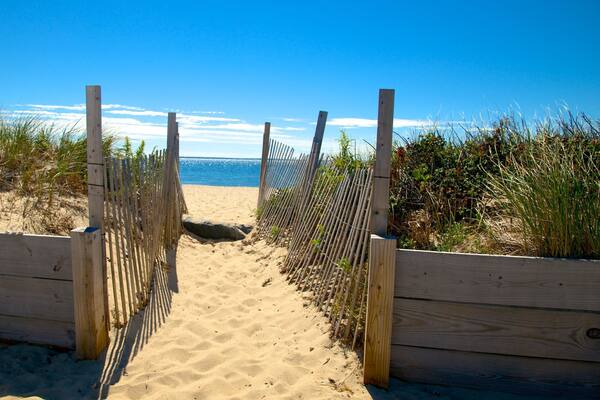Surf Drive Beach das einen Strand