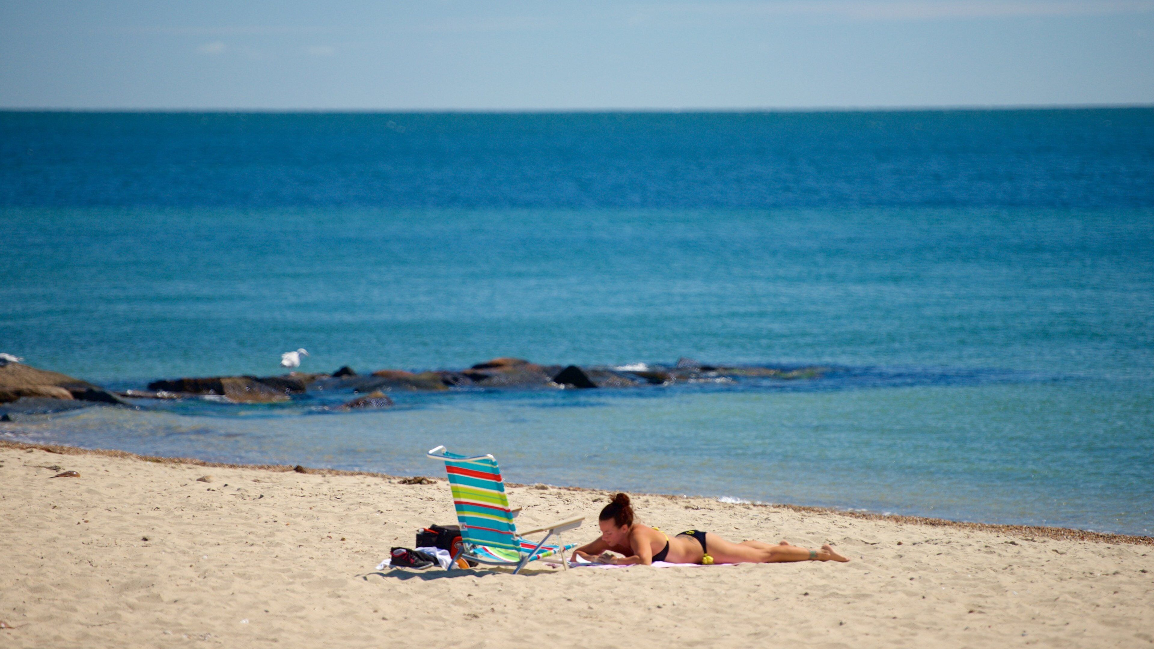 Surf Drive Beach featuring a sandy beach as well as an individual femail