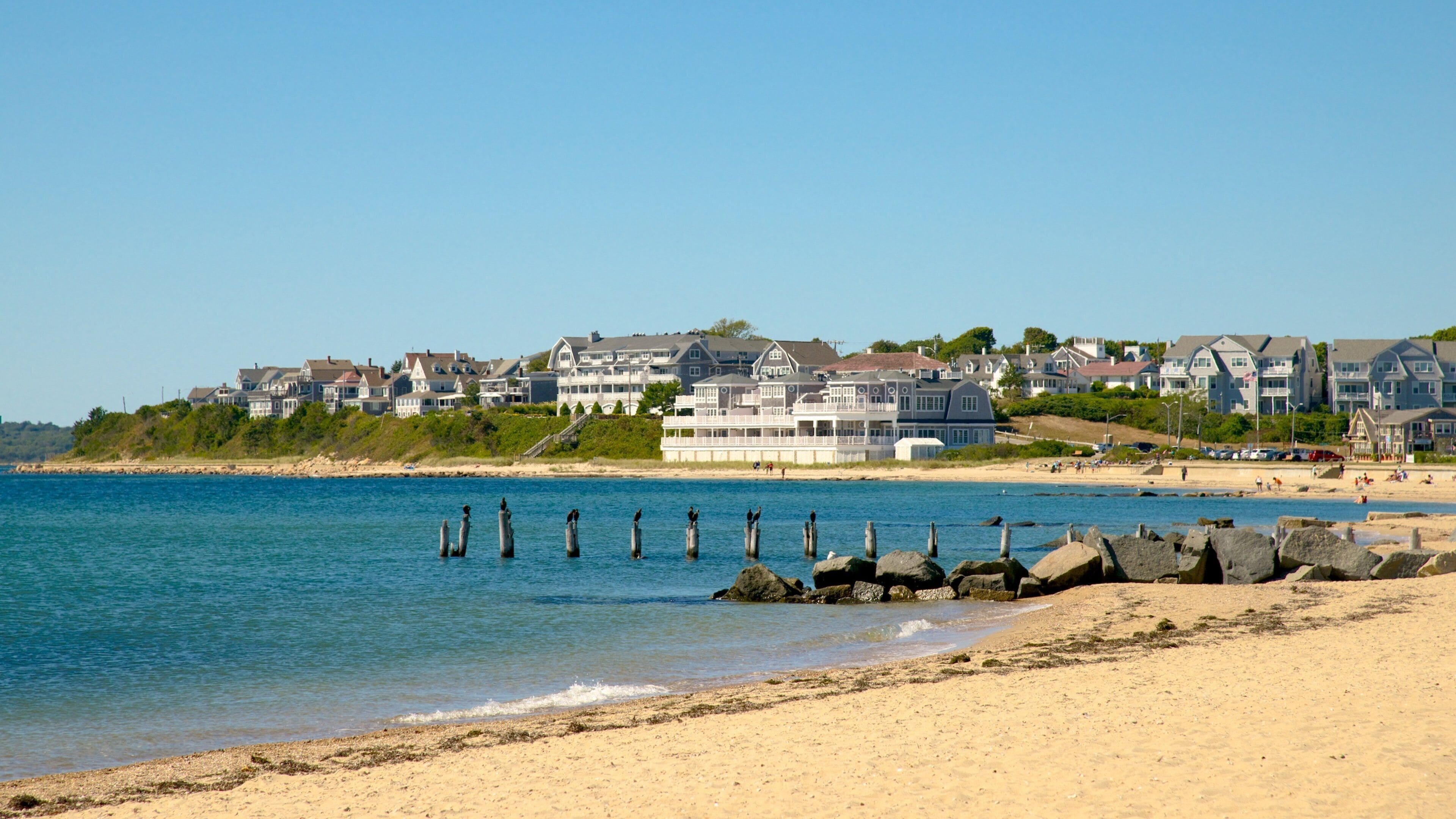 Surf Drive Beach showing a beach and a coastal town