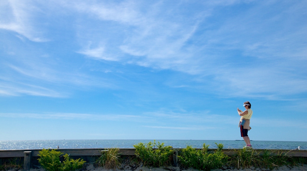 West Dennis Beach which includes general coastal views as well as an individual femail