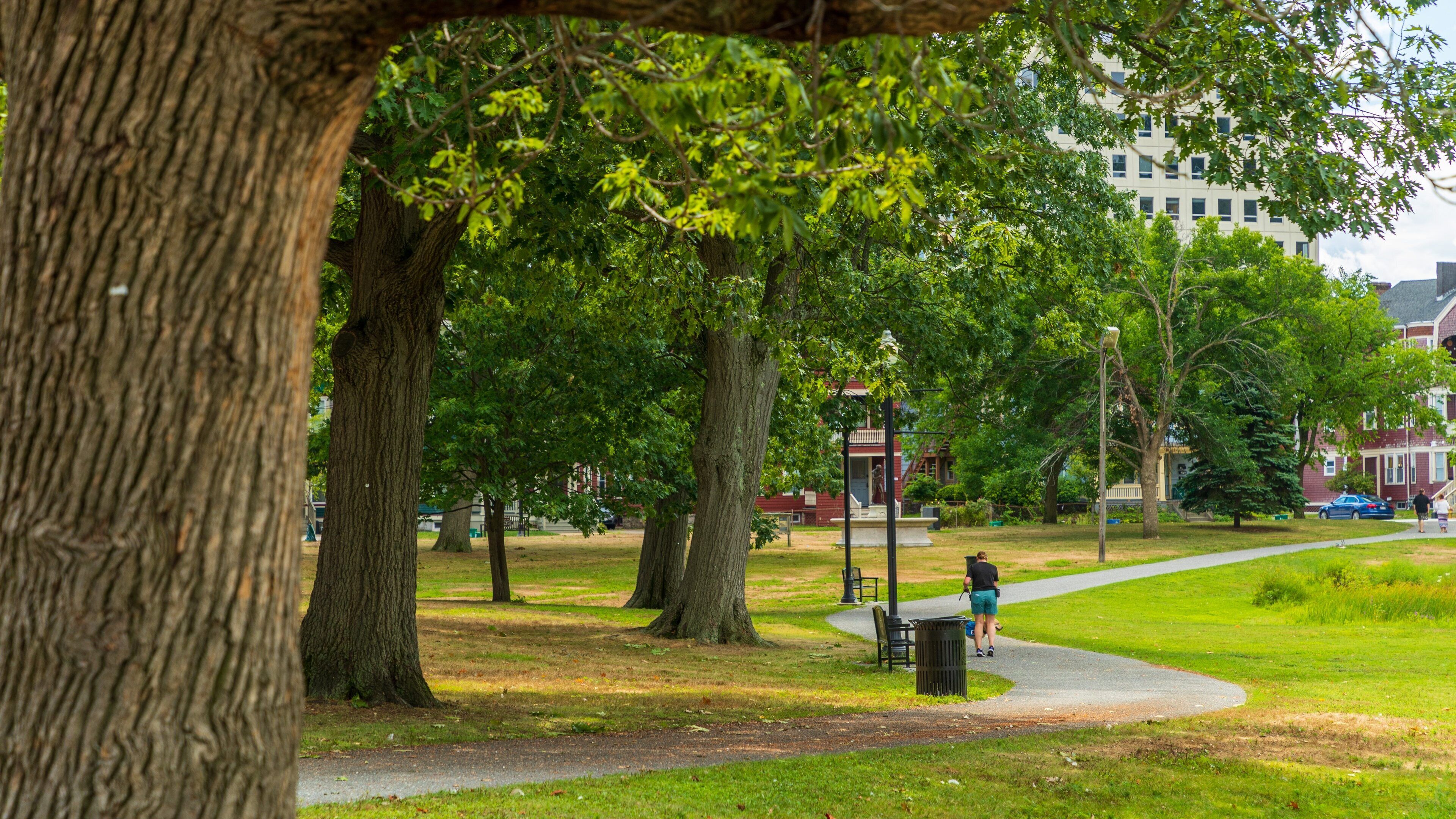 Elm Park featuring a park