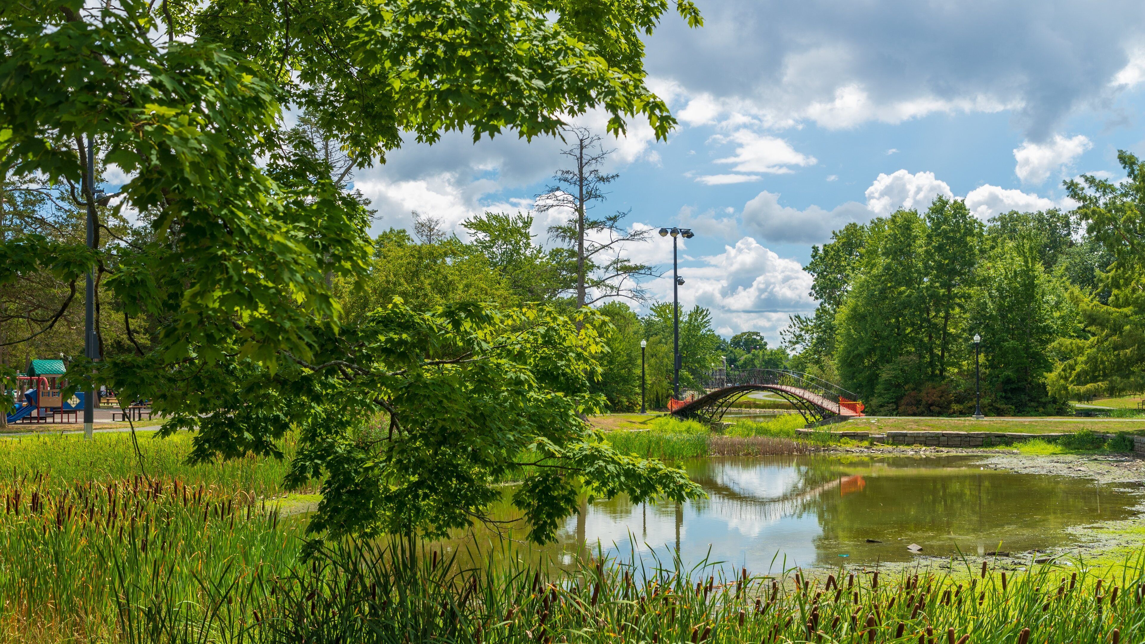 Elm Park which includes a bridge and a pond