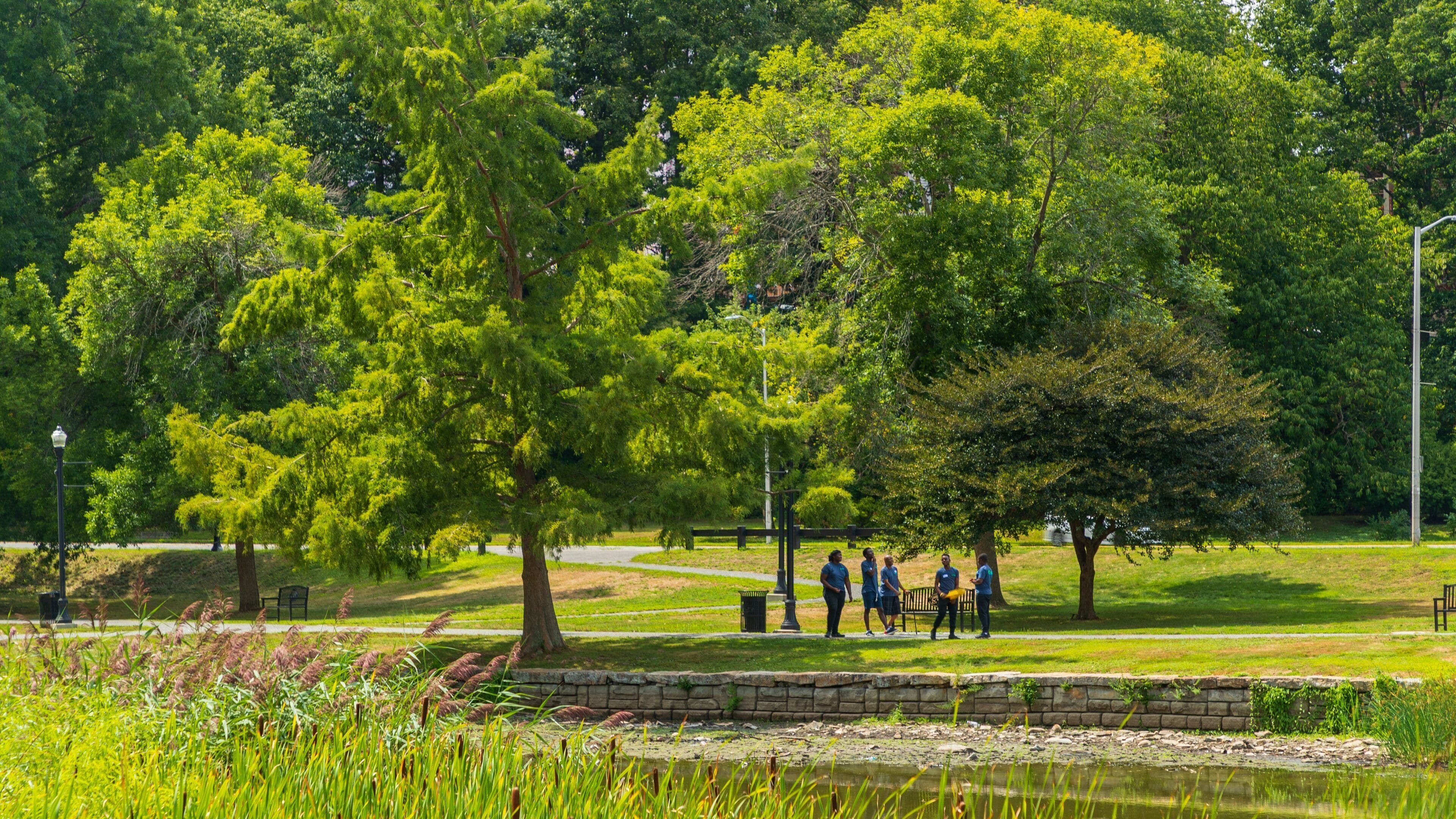 Elm Park which includes a pond and a park as well as a small group of people
