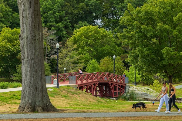 Elm Park featuring a bridge and a garden as well as a couple