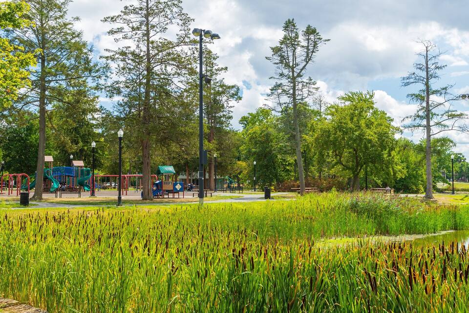 A park with playground equipment, a pond, and tall trees.