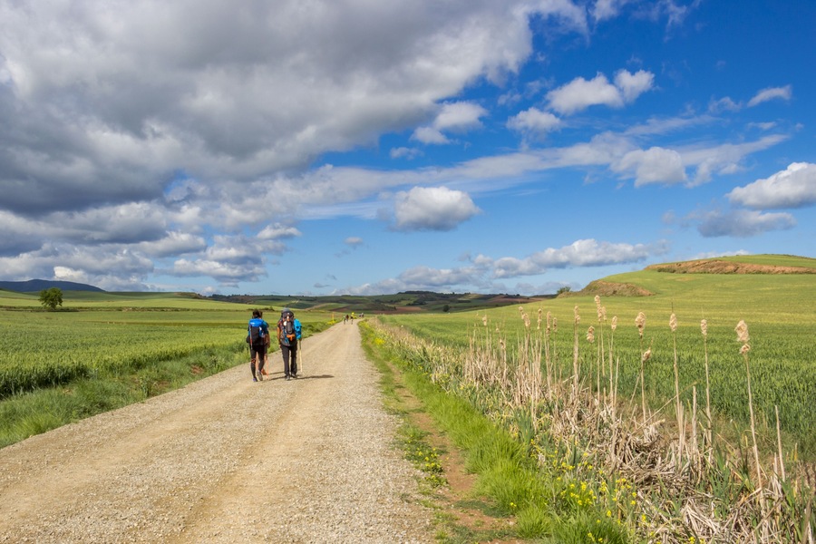 Rear view of pilgrims, unpaved country road on the Way of St. James, Camino de Santiago in La Rioja, Spain