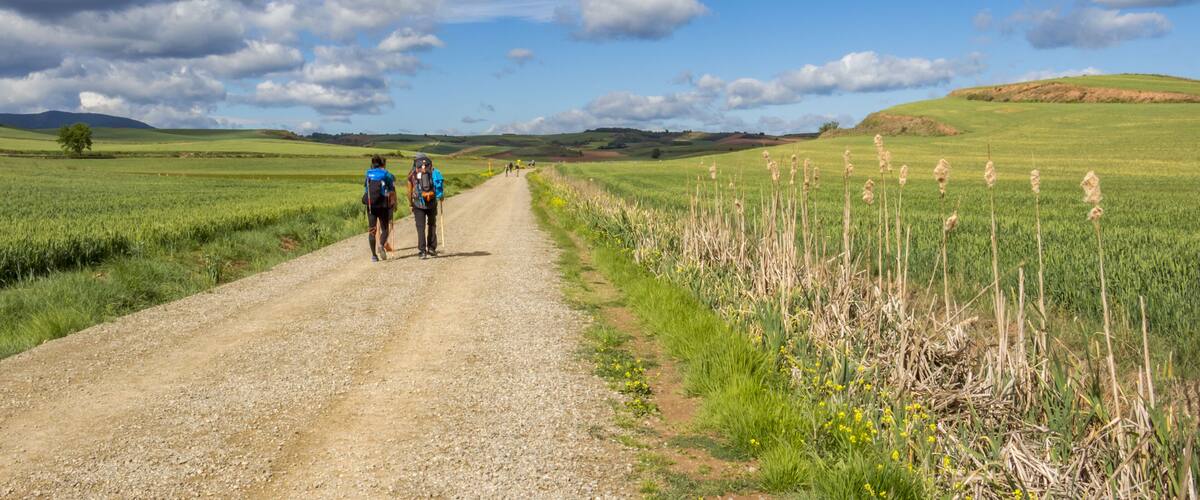 A gravel path in a rural landscape with rolling hills and fields.