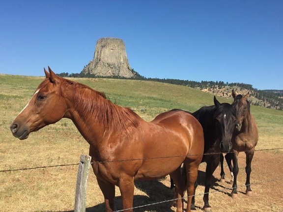 On the road to Devils Tower from Sundance, Wyoming