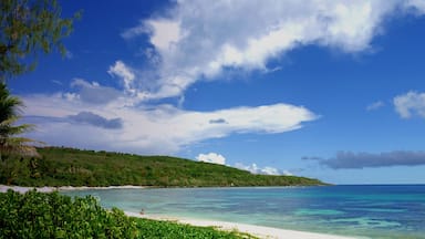 A tropical beach with clear turquoise waters, a sandy shore, and lush green hills under a partly cloudy sky.
