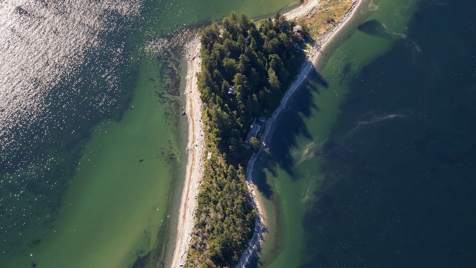 An aerial view of a coastal area with a curved shoreline, greenish water, and a narrow strip of land with scattered buildings.