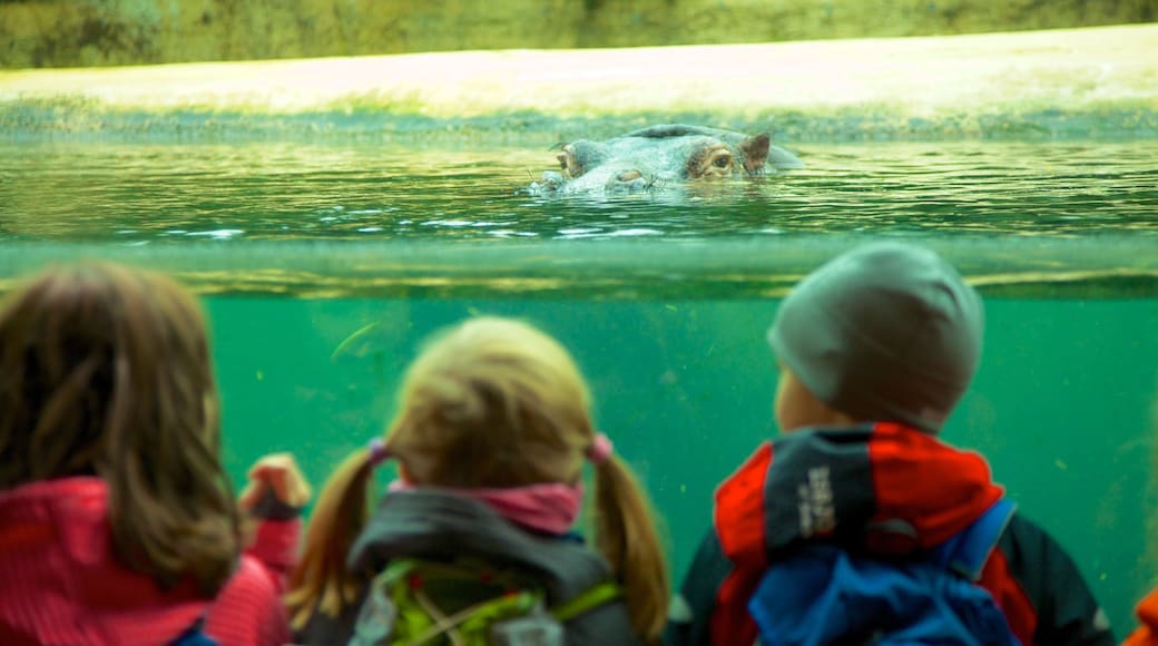 Zoológico de Berlín ofreciendo animales del zoo y animales terrestres y también niños