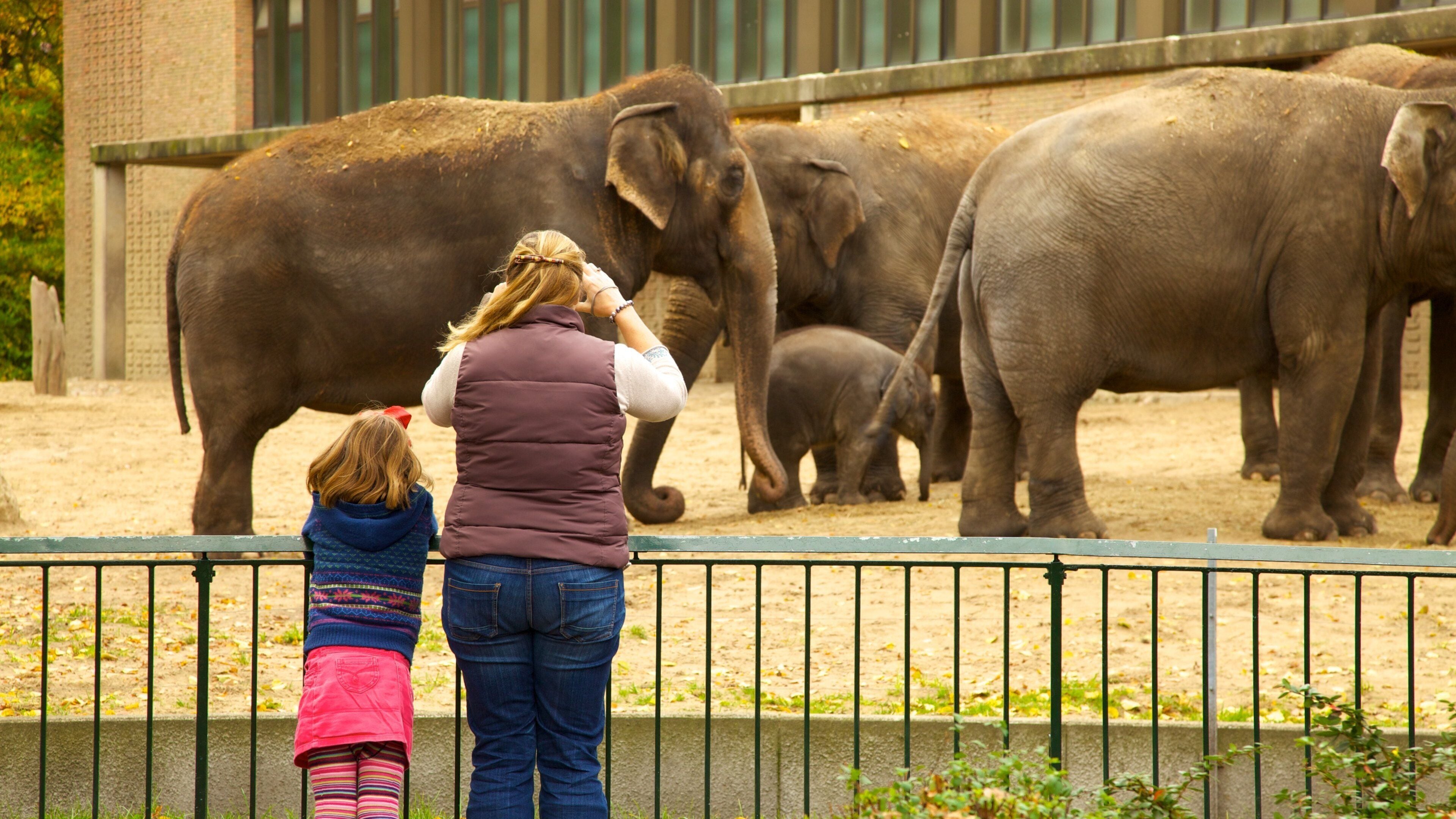 Berlin zoo som inkluderer landdyr og dyrehagedyr i tillegg til familie