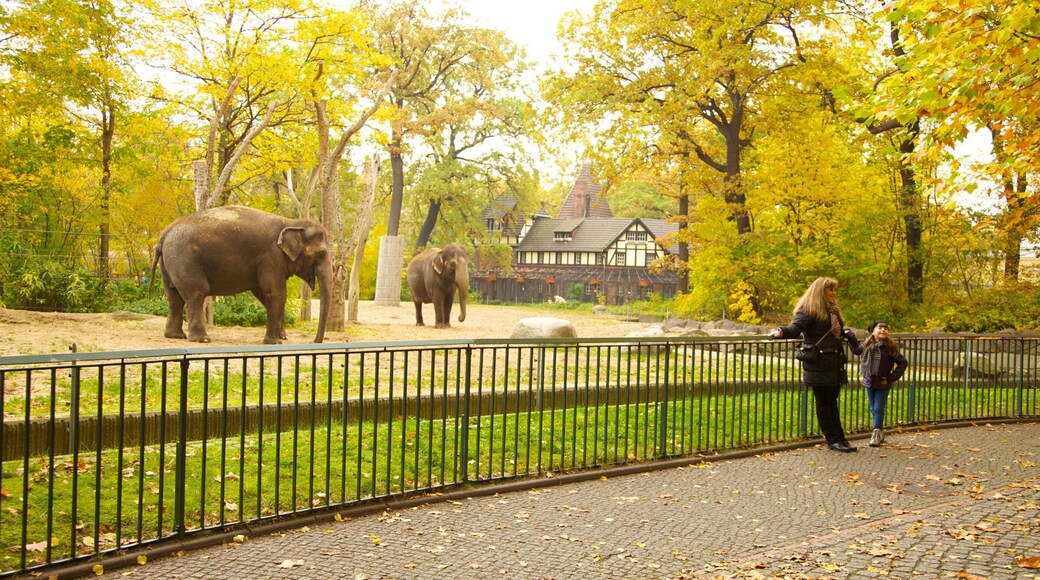 Elephants in their habitat at Zoo Berlin during autumn with colorful foliage surrounding them