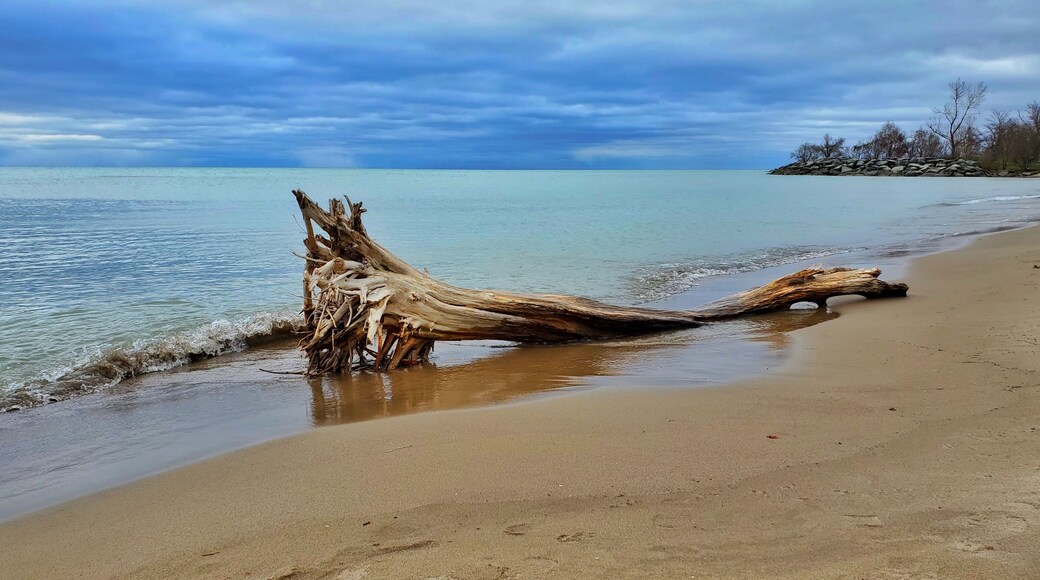 Nice walk way along the beach, just be careful after a rain storm!