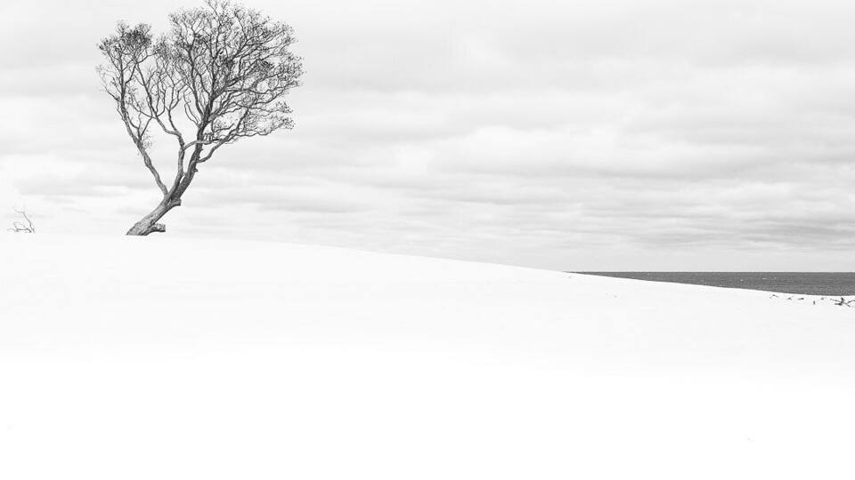 A lovely minimalist moment on a freezing day!