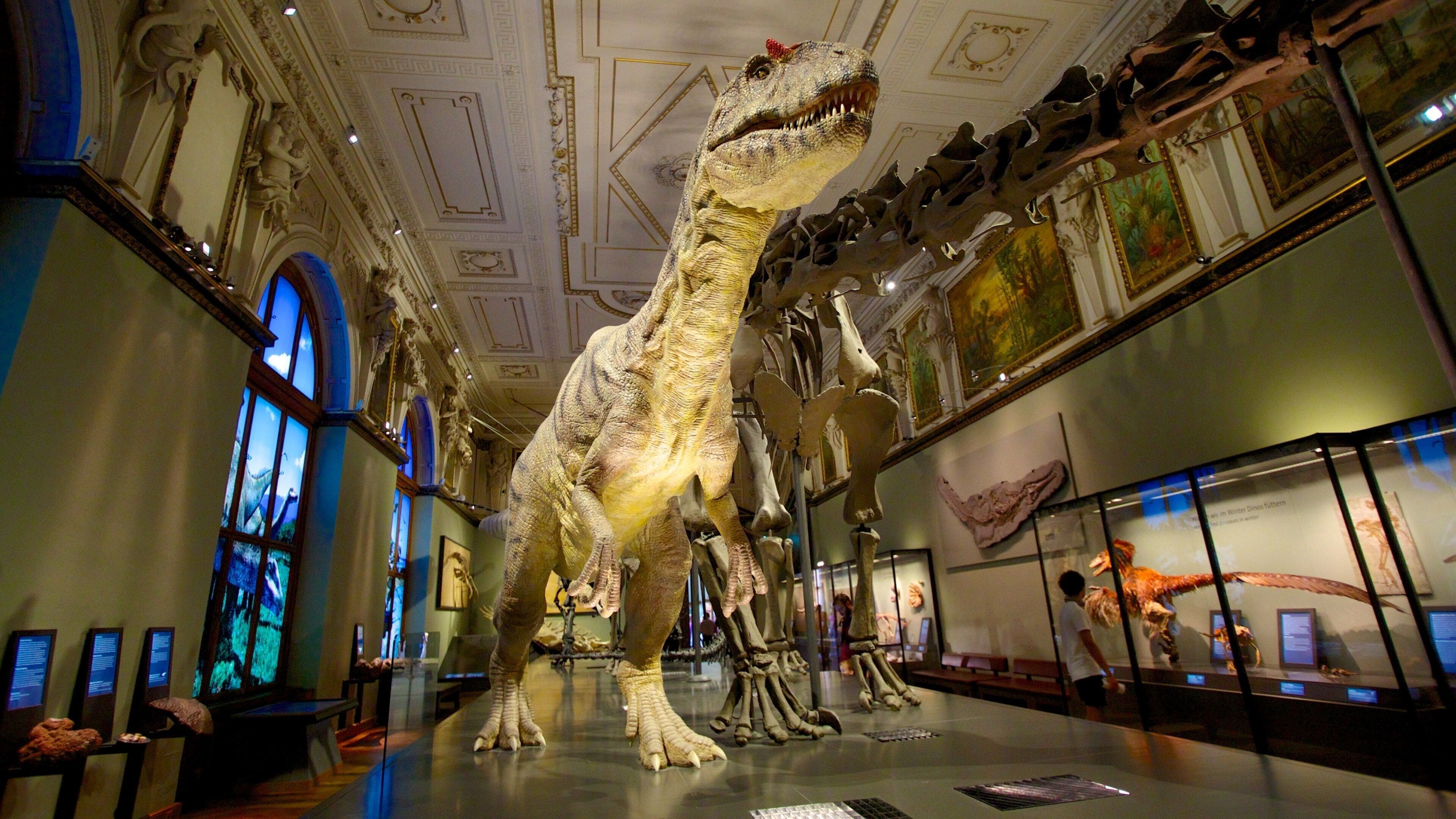 Naturhistoriska museet som inkluderar interiörer