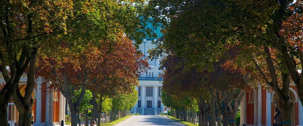 Zentralfriedhof das einen Straßenszenen sowie einzelner Mann