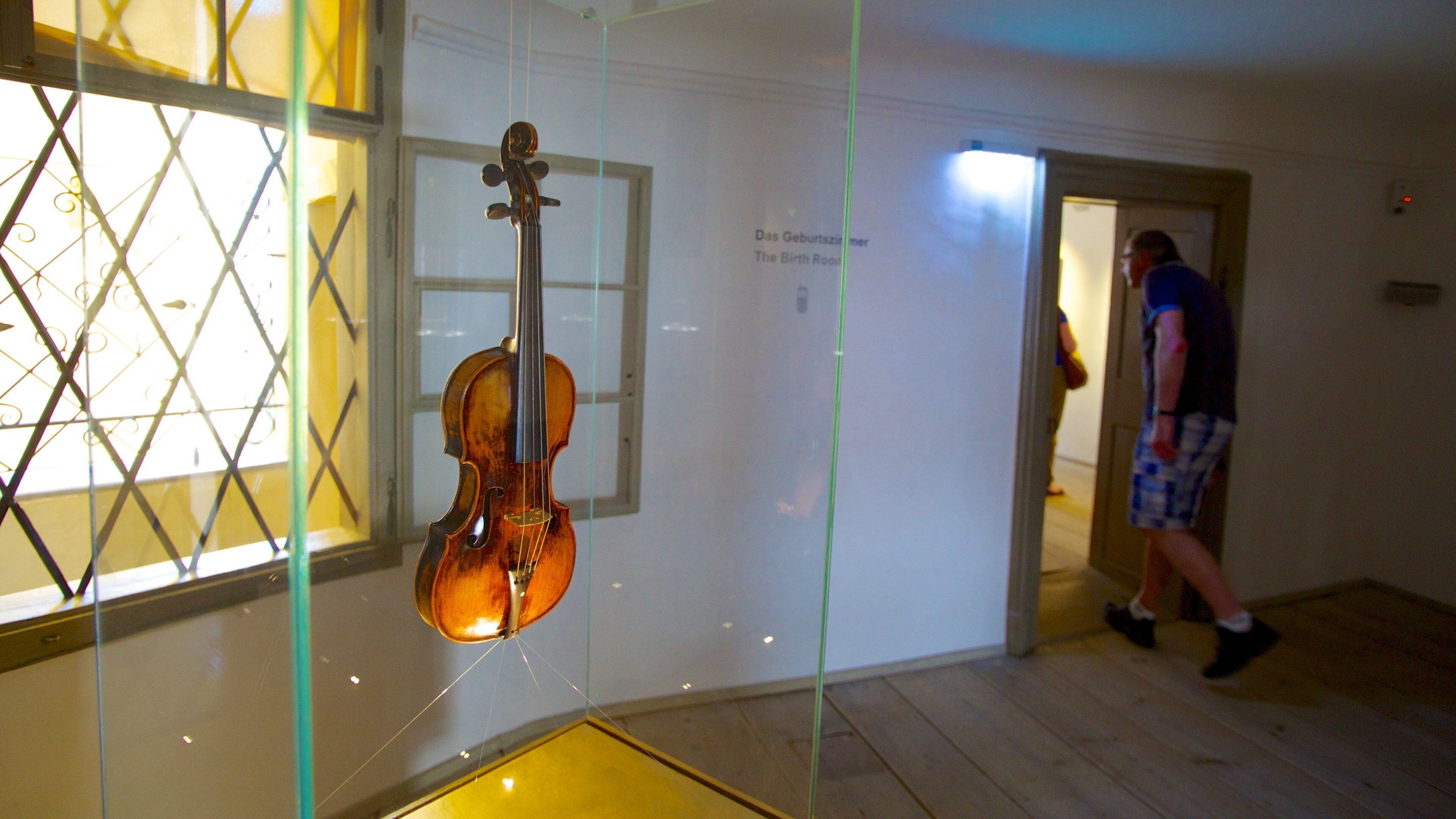 บ้านเกิดของโมซาร์ท เนื้อเรื่องที่ ดนตรี และ การตกแต่งภายใน