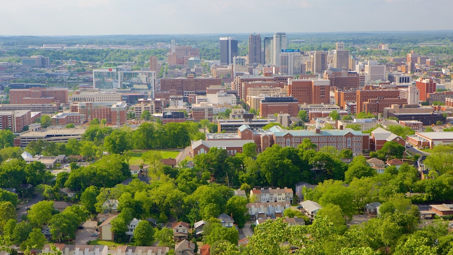 Birmingham (med omnejd)