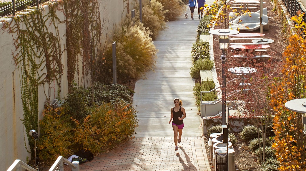 Woman jogging on street in city, Birmingham, Alabama, USA