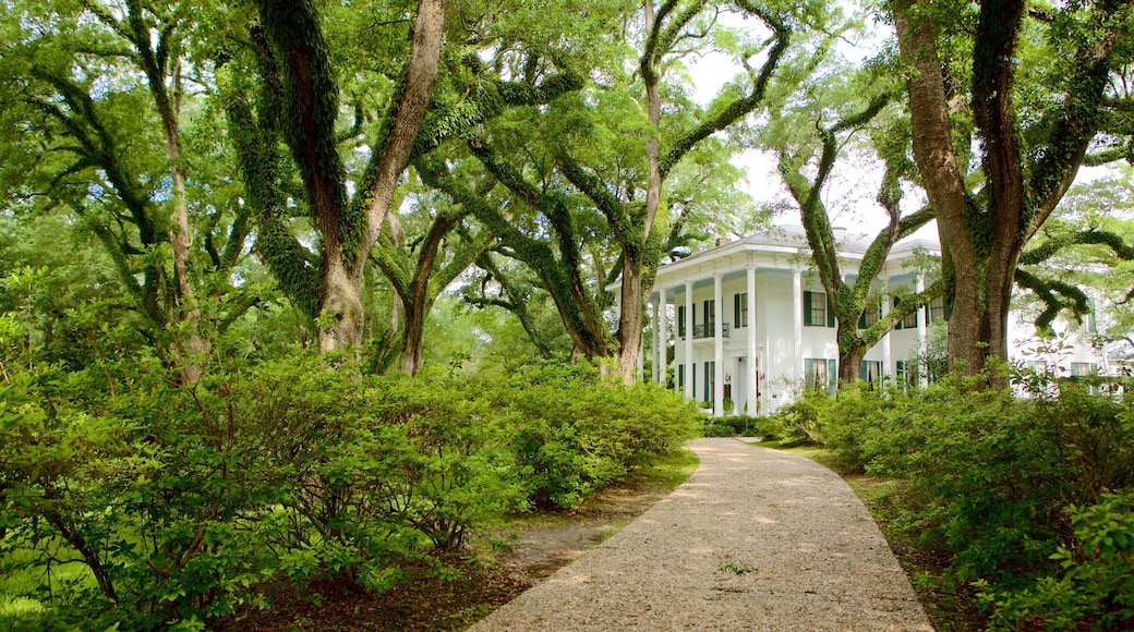 Bragg-Mitchell Mansion showing a house and a garden