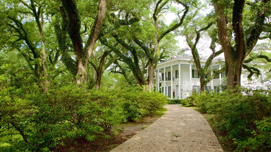 Bragg-Mitchell Mansion showing a house and a garden