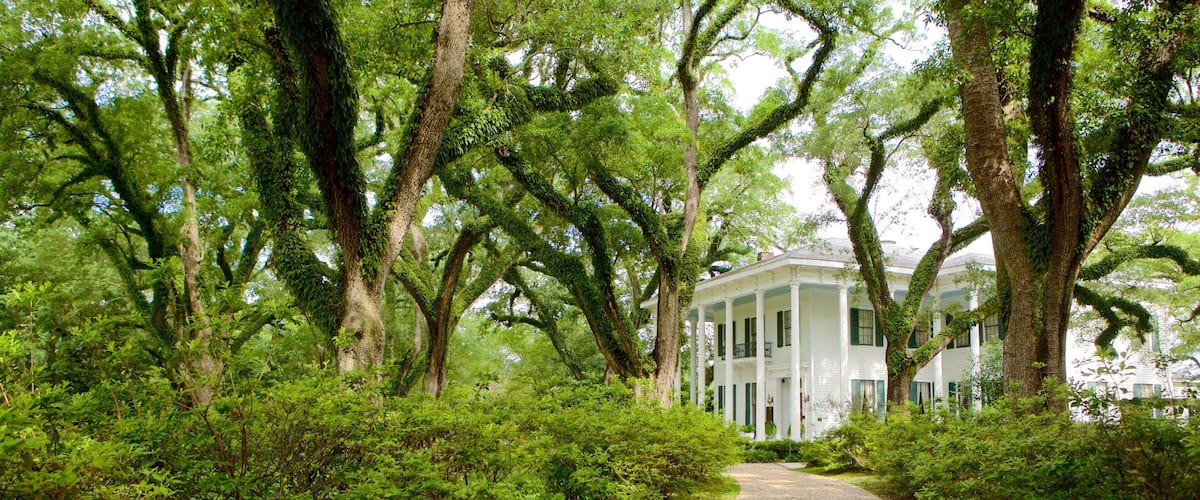 A gravel path leading to a white colonial-style house surrounded by lush green trees and shrubbery.