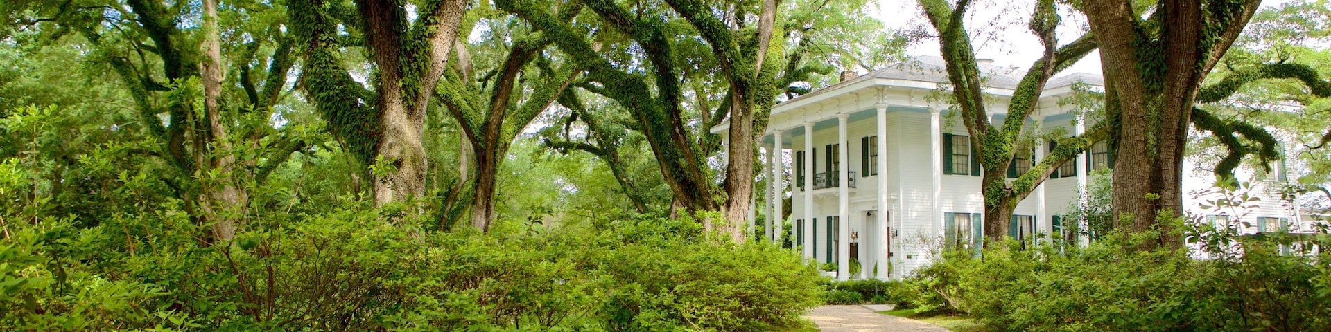 A gravel path leading to a white colonial-style house surrounded by lush green trees and shrubbery.