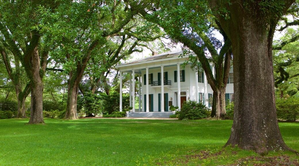 Bragg-Mitchell Mansion featuring a garden and a house