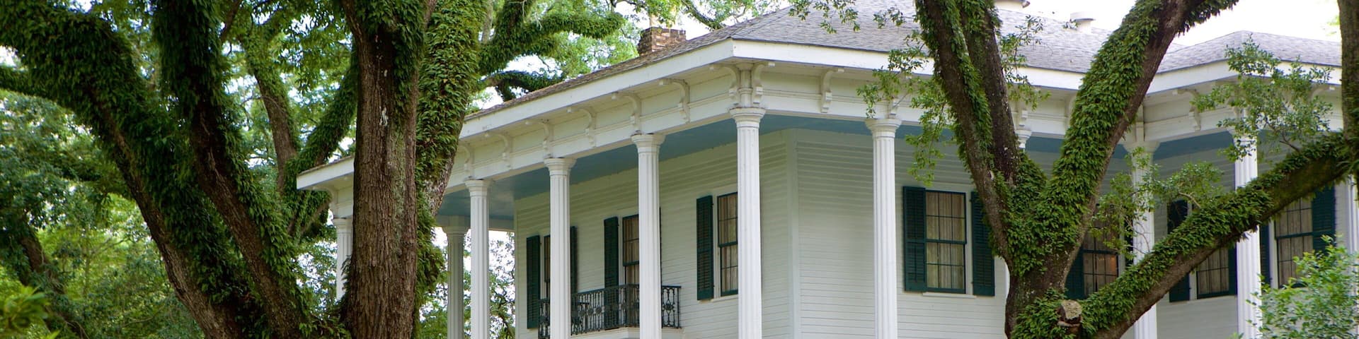 Bragg-Mitchell Mansion which includes a house