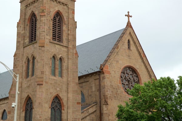 Cathédrale de l\'Immaculée Conception mettant en vedette patrimoine historique et église ou cathédrale