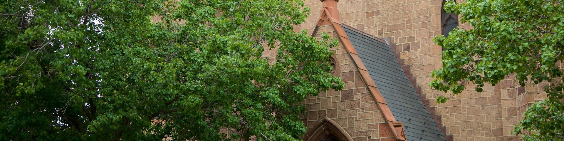 Cathedral of the Immaculate Conception showing a church or cathedral and heritage elements
