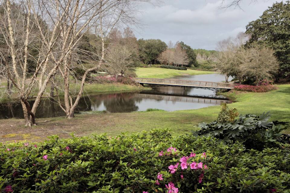 A pond with a bridge, surrounded by trees and flowering shrubs.