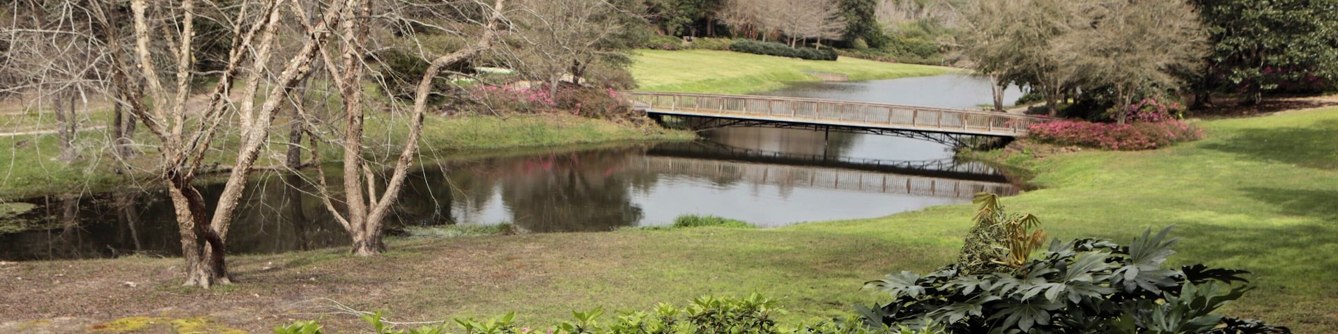 Out for what turned out to be a beautiful day. Wonderful day of walking the gardens.