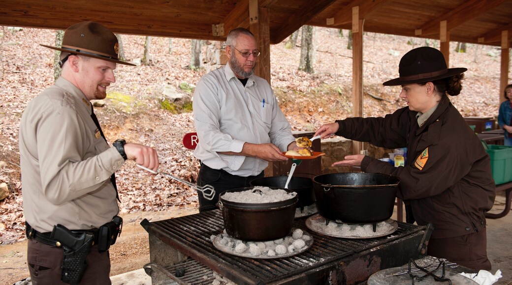 Pinnacle-vuoren kansallispuisto johon kuuluu puutarha ja syöminen ulkona sekÀ pieni ryhmÀ ihmisiÀ